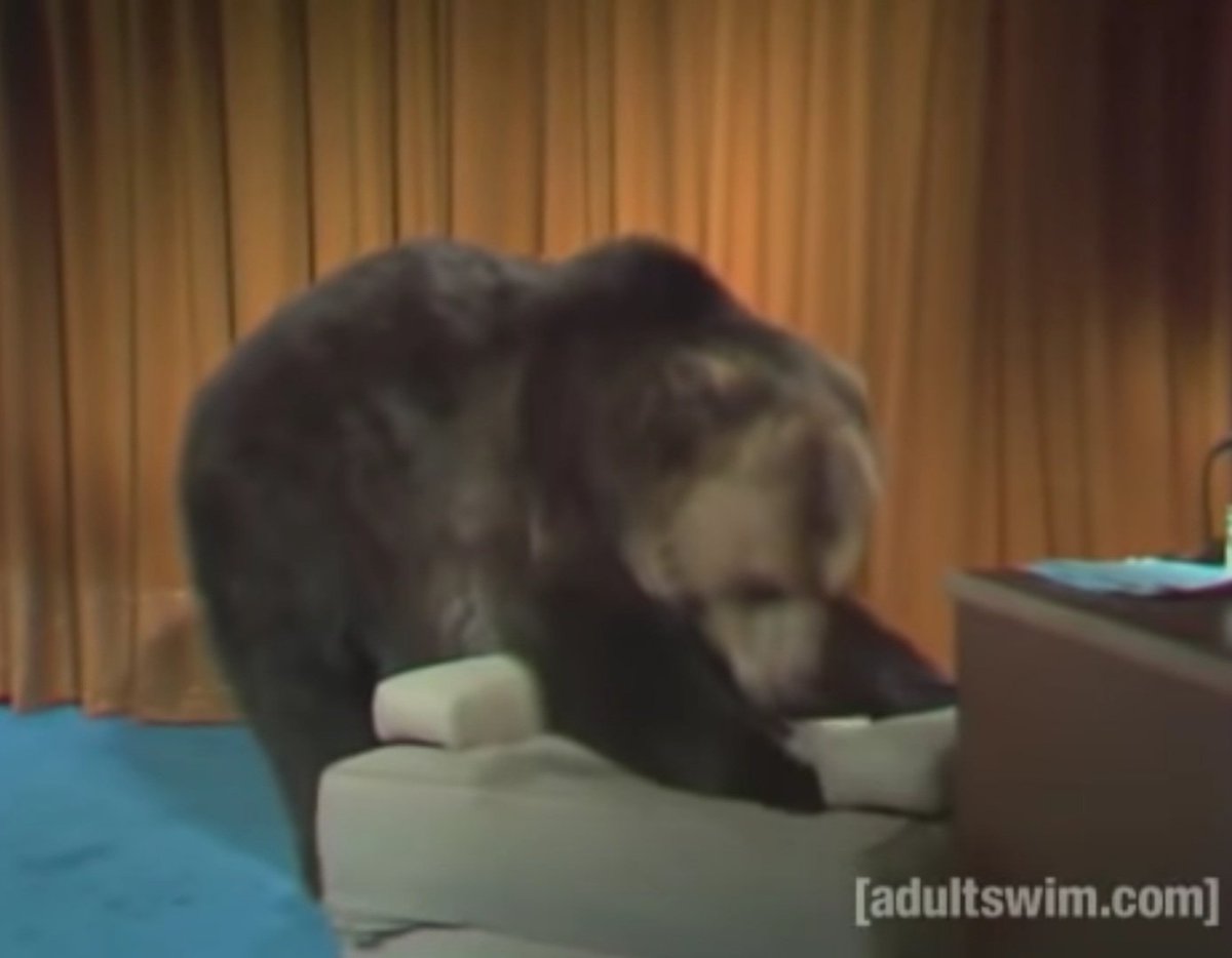 bearotd's tweet photo. Today is my bearday so today's bear of the day is...a Grizzly Bear. A grizzly bear, ladies and gentlemen. https://t.co/vsRVcs1Xdc
