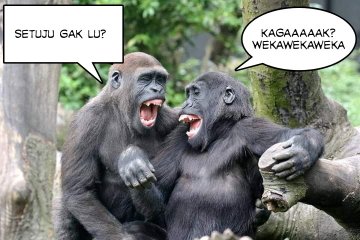 nasgor cumi2 tweet media