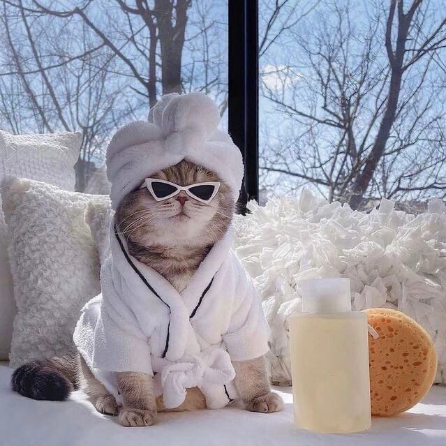 Хозяин в доме тот,
Кто постоянно в нём живёт!
Вы все живёте на работе...
Так кто хозяин в доме?
Кот!