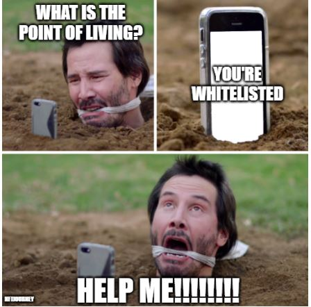  tweet media