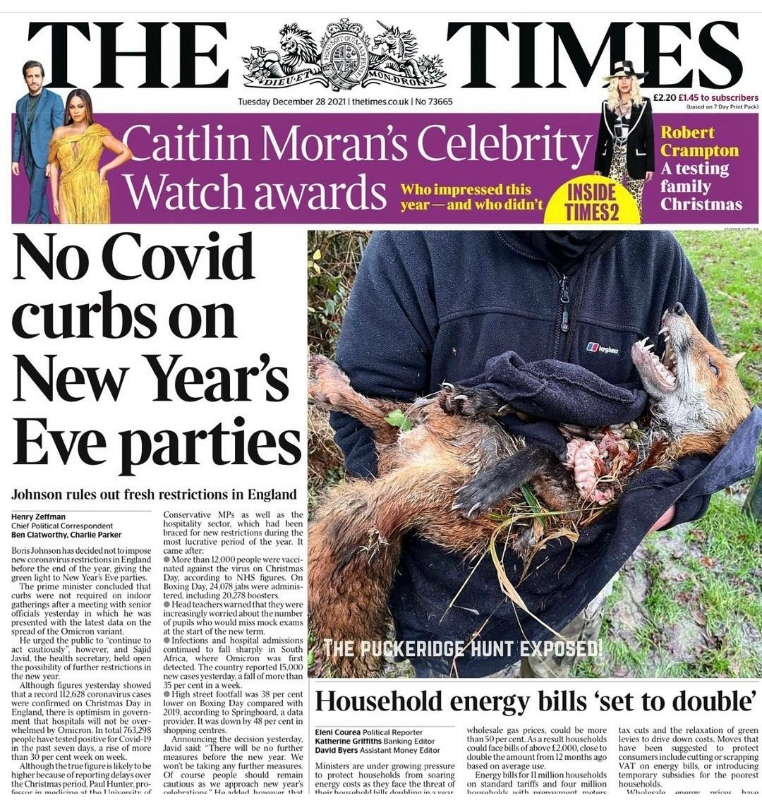 ProtectTheWild_'s tweet photo. A few days ago The Times ran a front cover image of a hunt - glorifying the sick pastime of fox hunting. 

RT if you agree that this should of been the actual front-page. This is the brutal reality of a "tradition" that still goes on across the country week in week out. https://t.co/Gbt0HBWhuA