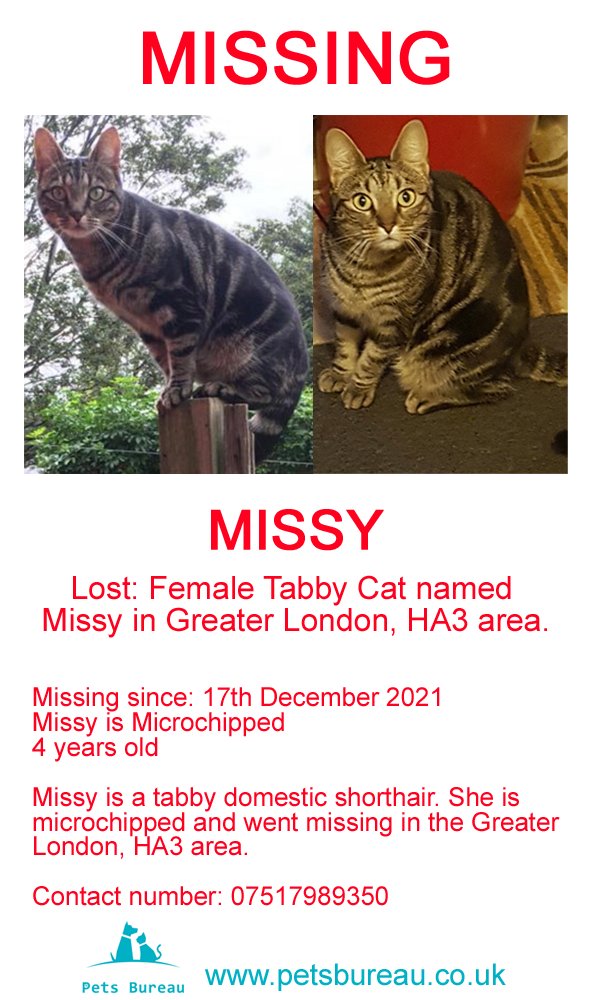 Pets Bureau tweet media