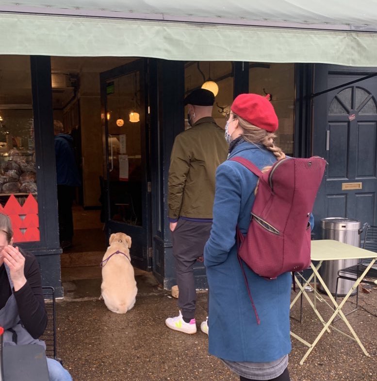daisychandley's tweet photo. I’ll normally defend north london to the death but to be fair there’s currently a golden retriever queuing to get into this Gail’s https://t.co/apdUVUKewG