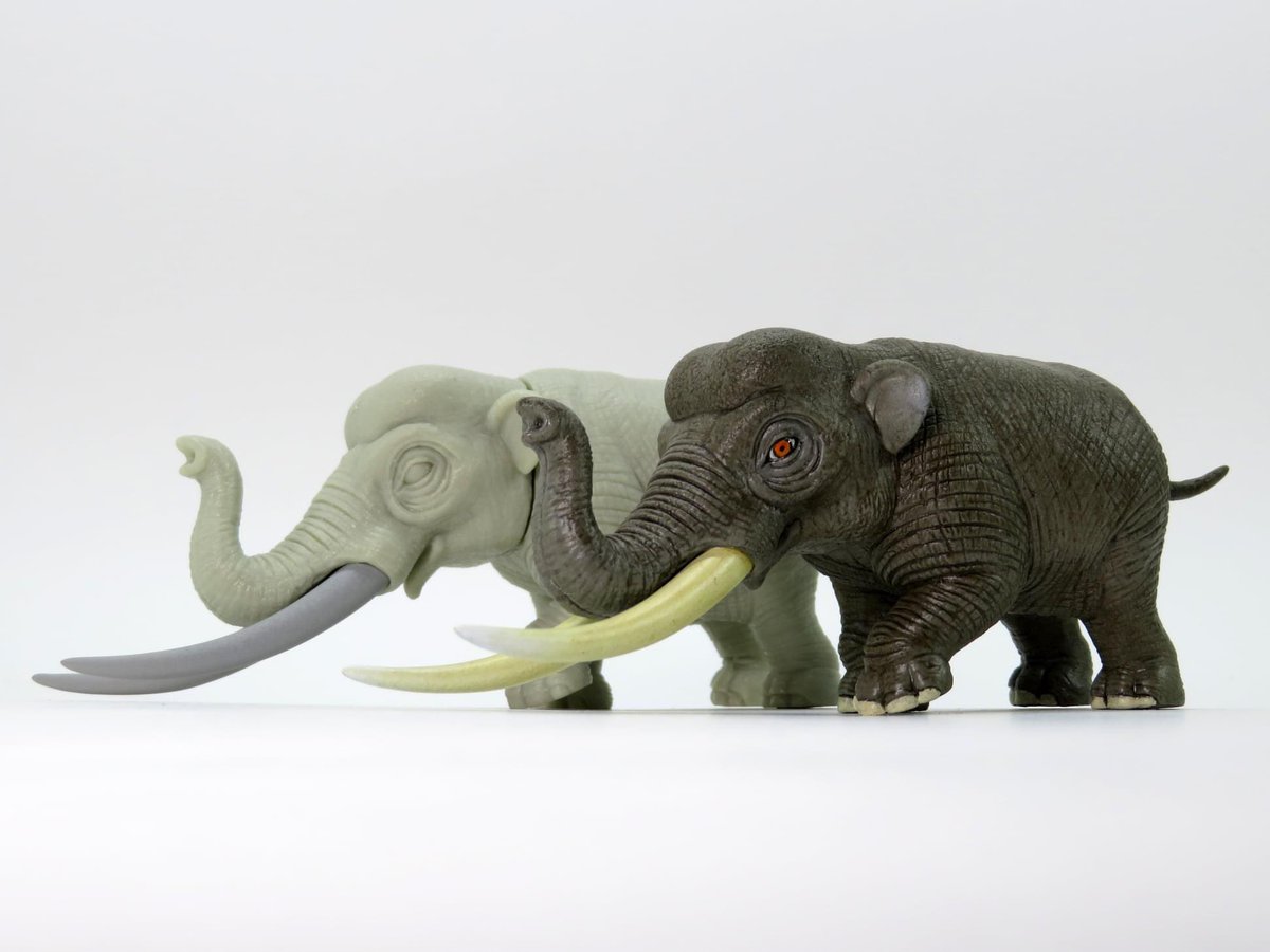 YU7art's tweet photo. 澎湖古象/淮河古菱齒象/Palaeoloxodon huaihoensis
▶[CAST樹脂套件]
▶作品尺寸: 長約 9.7 cm(不含象牙) 寬約 3.5cm 高約 4.5 cm
▶售價:800.TWD
▶訂購信箱:yu7.huang@gmail.com
▶[塗裝完成品]
▶售價:1800.TWD
#Animal #Art #artist #Kit #Sculpture 
#handmade #Taiwan #Yu7art #Palaeoloxodon https://t.co/LVKqFEjMTk