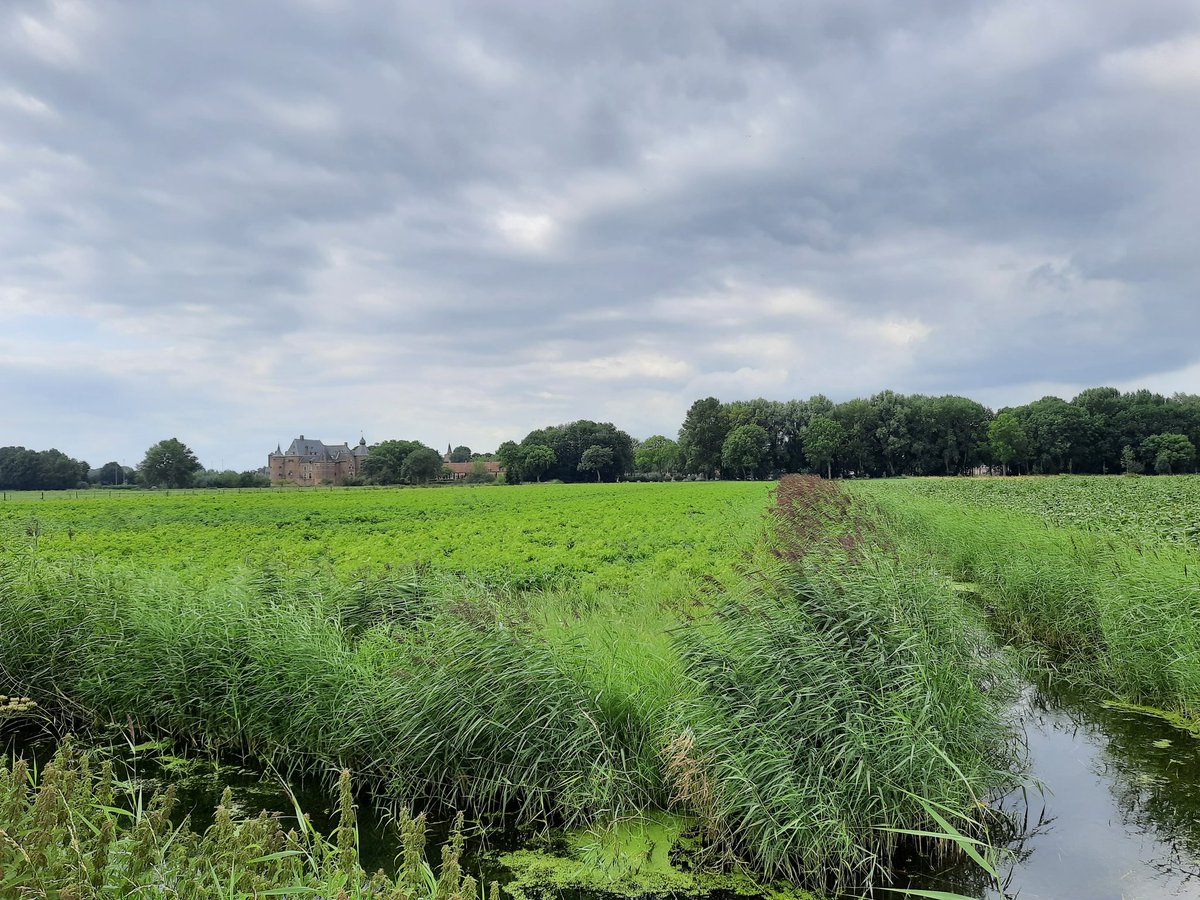 optifield's tweet photo. Voor onze opdrachtgever Stichting Kavelruil Zuid-Holland een mooi eindejaarsresultaat behaald: ruim 100 ha kavelruil in de Bommelerwaard en West Betuwe! Verdeeld over twee deelruilen van het POP3-project Gelderland West https://t.co/PGewOgjoYM