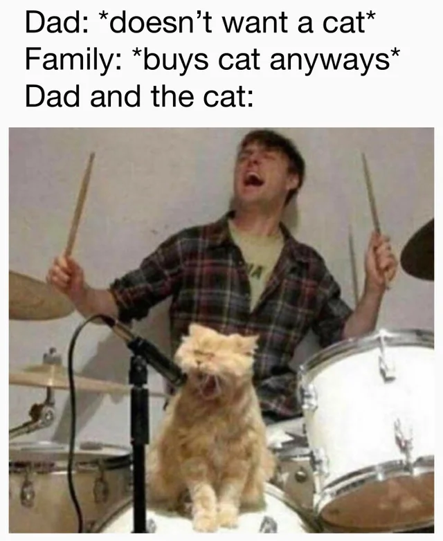 WholesomeMemes (@wholesomememe) on Twitter photo 