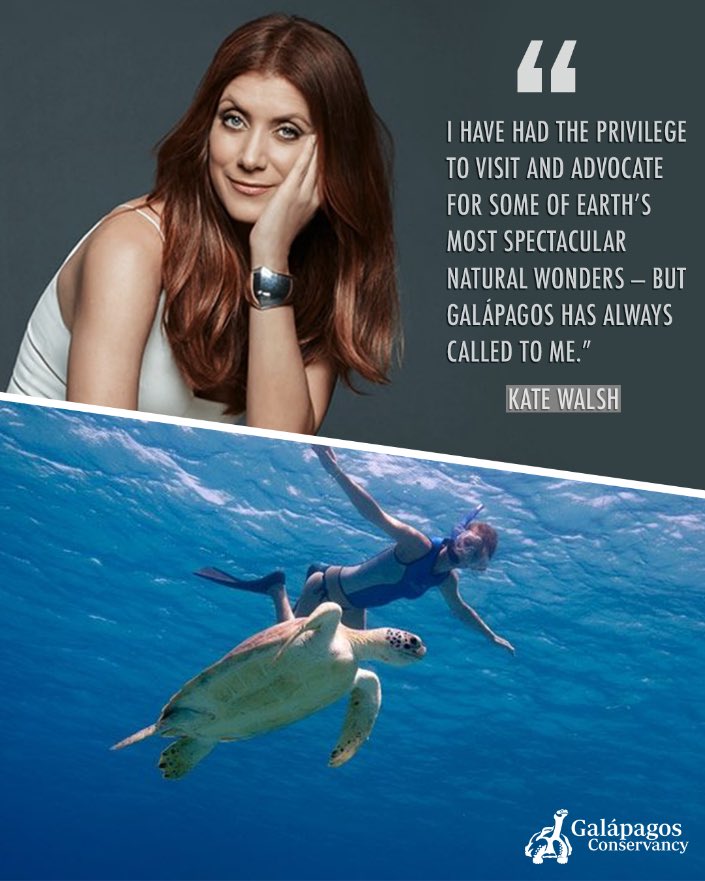 katewalsh's tweet photo. I’m excited to team up with @savegalapagos to back their efforts to protect marine ecosystems, restore endangered species, support scientific research, and build a sustainable society in the Galápagos Islands.
Visit https://t.co/rx255TWIeT to join the fight to save Galápagos 💙 https://t.co/gdiwVQFMz9