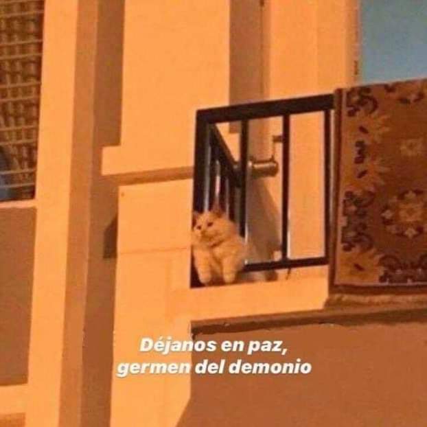 _kapp_m's tweet photo. @PabloAgustin Mood. https://t.co/VjAspEImOz