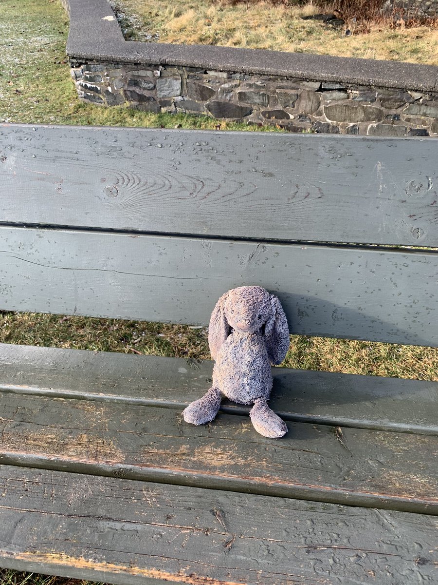 Halifax people: This lonely bunny is near the big parking lot by the water at Pt Pleasant Park. Please share as I bet a little person is very sad about losing it.