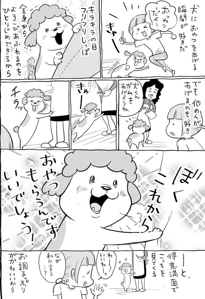 犬と猫を同時に飼育してると分かる、おやつの時の反応の違い！