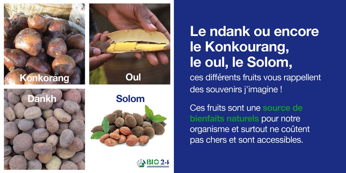 labobio24's tweet photo. Le ndank ou encore le Konkorang, le oul, le Solom ces différents fruits vous rappellent des souvenirs j'imagine. Par contre, d'autres ont tendance à les abandonner au profit d'autres fruits moins exotiques. 
#Bio24 #fruits #bienfaits #santé https://t.co/TntmDtacbh