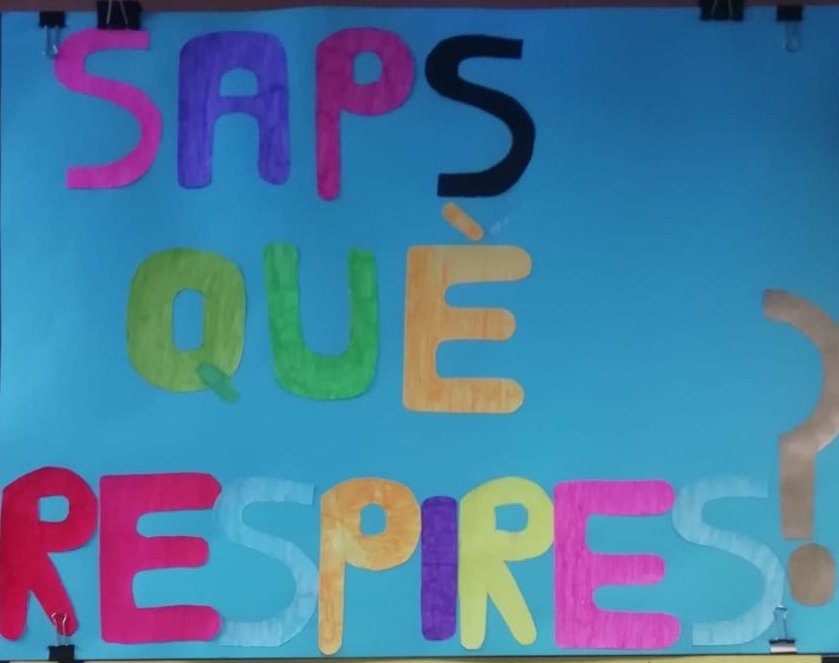 Docentes de primaria y secundaria 📢 para empezar el año @CEFIREambitCTEM propone:
💭 Equipo de medida de contaminación atmosférica
📈 Formación y soporte para interpretar medidas
💡 Proyecto con el alumnado
🫁 Sostenibilidad &amp; Salud
¿Te apuntas? cefire.edu.gva.es/sfp/index.php?…