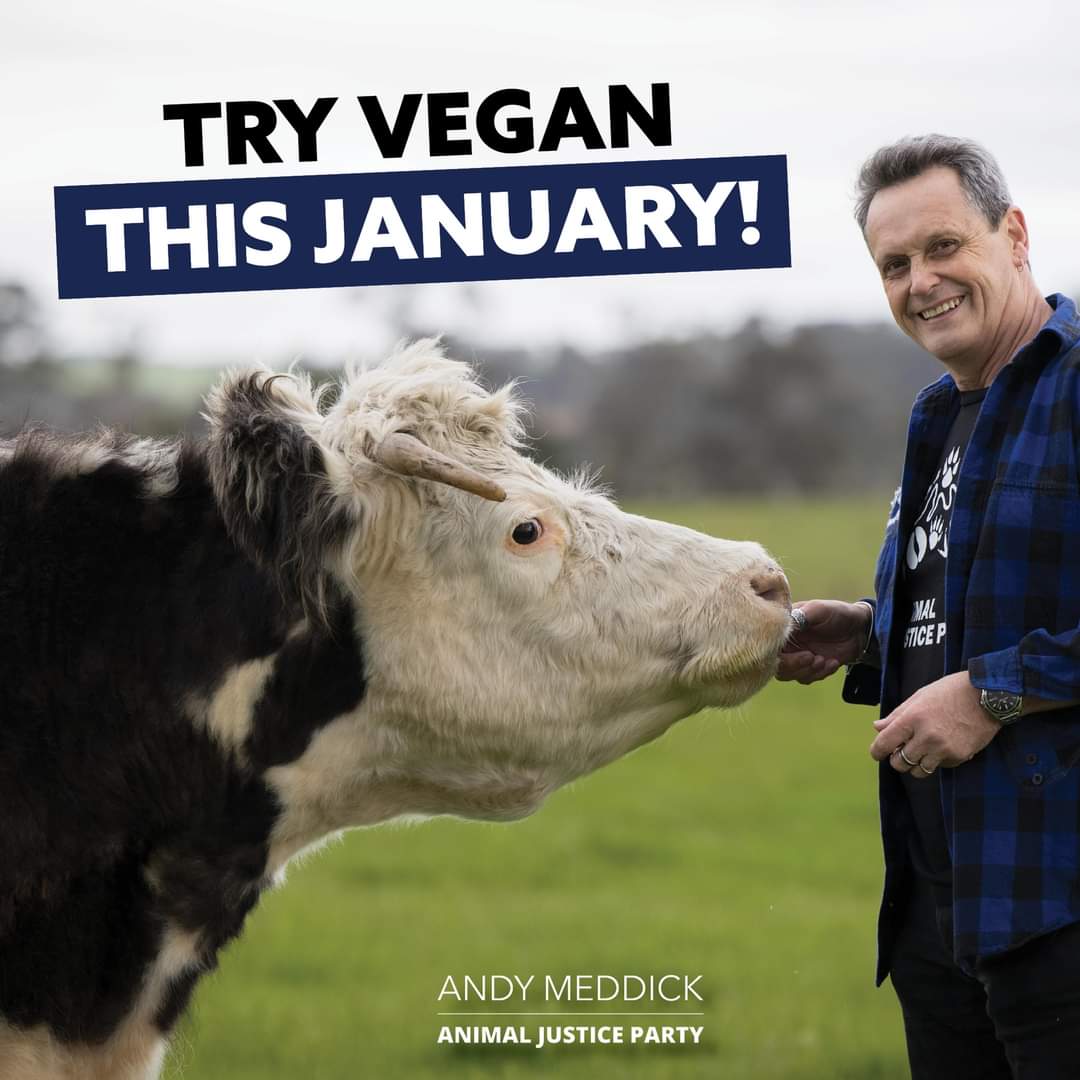 animaljusticeAU's tweet photo. Make a New Year's resolution that helps others!
#Veganuary2022
You'll receive tips &amp; easy meal plans.
Join a growing community dedicated to save the lives of animals &amp; fight the climate emergency.
@AndyMeddickMP
Sign up here
https://t.co/Pi6m1GTPdp https://t.co/1R7atCFVU8