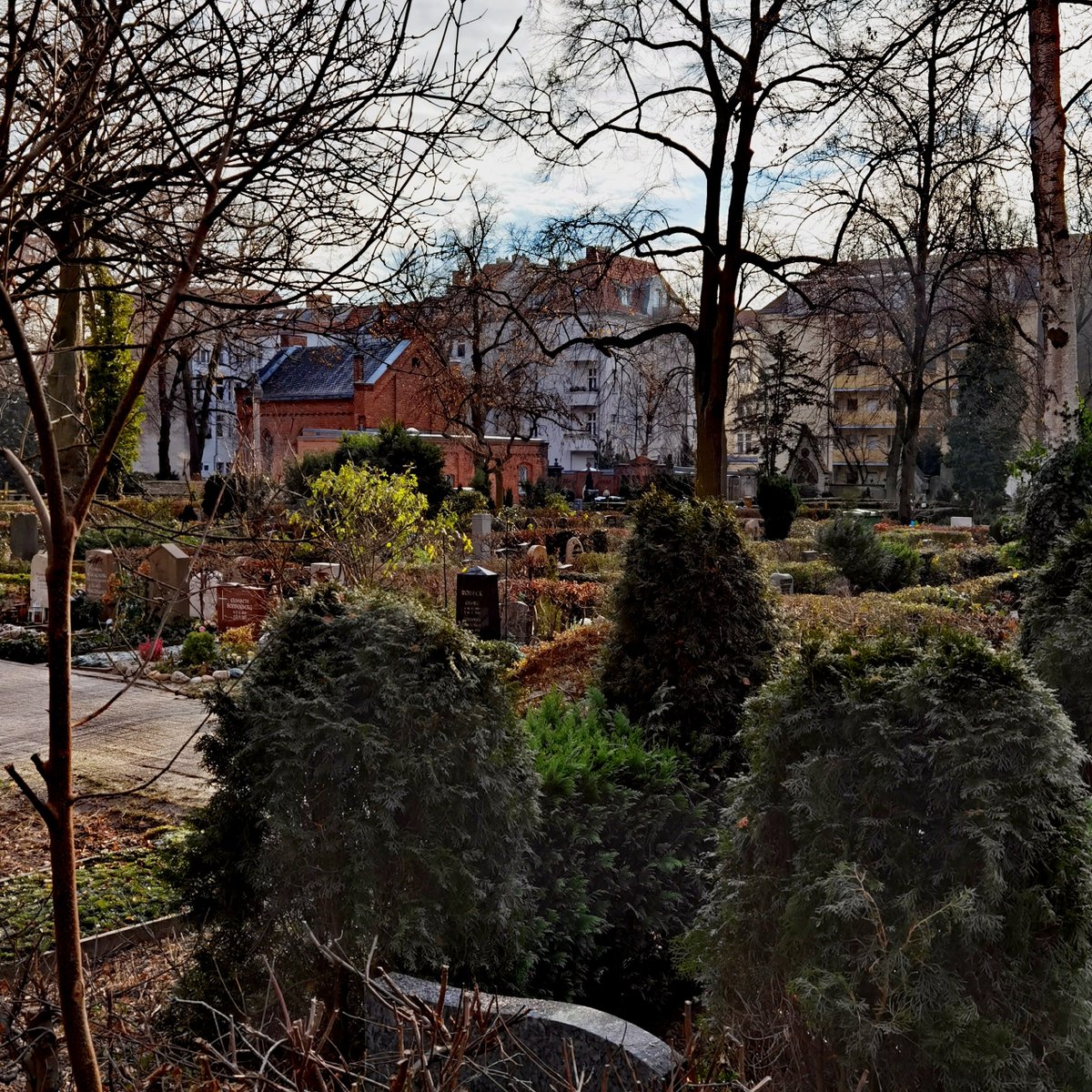 Stift_und_Bogen's tweet photo. Friedhof Stubenrauchstraße, Berlin-Friedenau. Blick auf das Ehrengrab von Oskar #Pastior, vielfach ausgezeichneter Lyriker mit rumäniendeutschen Wurzeln, im II. Weltkrieg mit 17 Jahren in die stalinistische UdSSR deportiert und dort für mehrere Jahre mit Zwangsarbeit gepeinigt. https://t.co/wH0TglBGQB