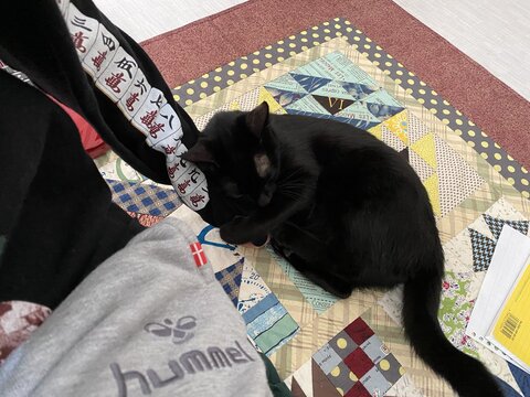 【びっくりハプニング】避妊手術が終わった猫を迎えに行ったら…… 先生に「非常にご立腹なので」と言われた話 https://t.co/3fWwPlOxPz @itm_nlabより 