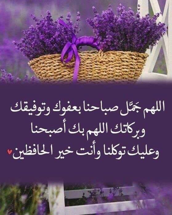profesiere's tweet photo. @WTaoEonYbL8sXmU اللهم صل وسلم وبارك على سيدنا محمد وعلى اله وصحبه اجمعين..
سورة الذاريات https://t.co/MCt5QxO0ZH