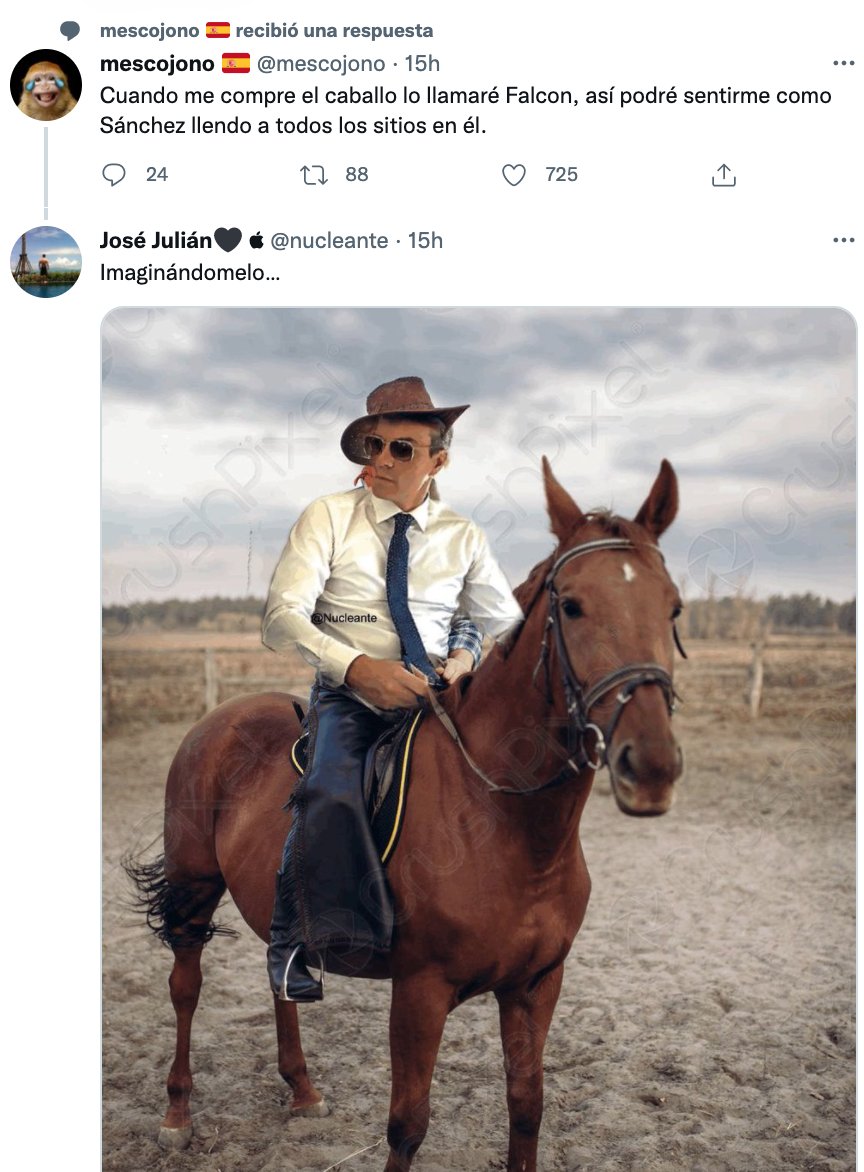 El Genovés (@el_nuevogenoves) on Twitter photo 