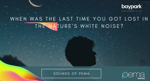 pema_wellness's tweet photo. #soundsofpema at #pemawellness - #bayparkresorts 
When was the last time you got lost in Nature’s white noise ?
#wellnesscenter #wellnessresort #naturopathy 
#holistichealing #acupuncturetreatment 
Experience Nature Healing…
https://t.co/WpYb3dujim https://t.co/96crvH59jQ