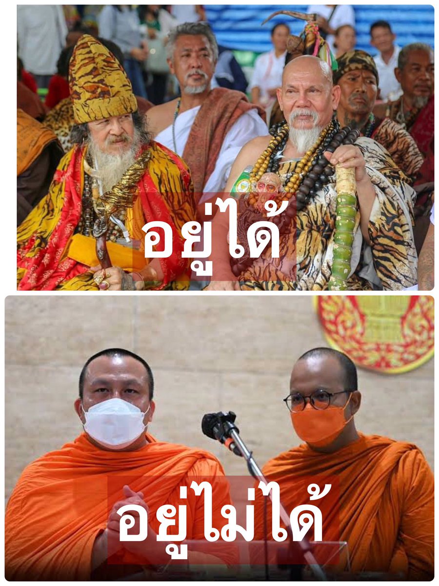 อาจารย์แมว tweet media