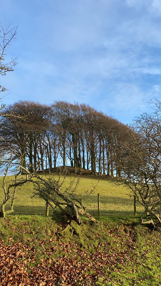 We’re having a quiet and nature filled Christmas break! How is everyone spending their time?