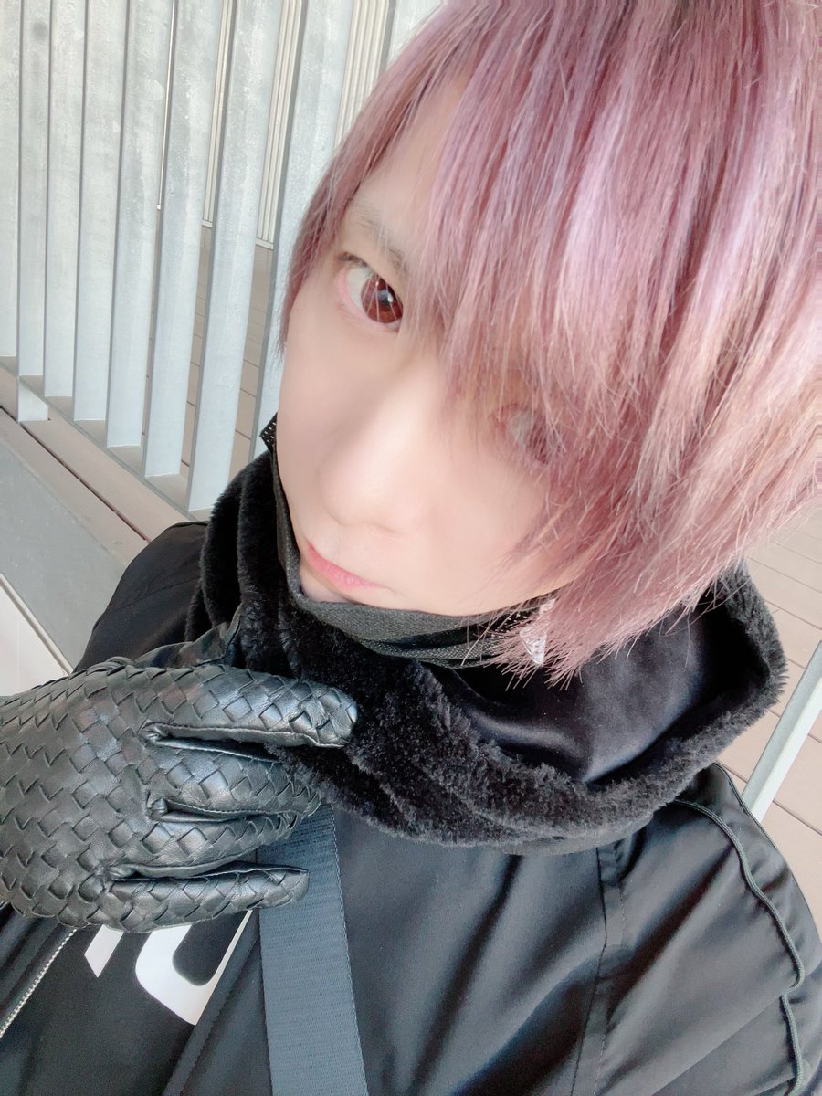 U_MOB2017's tweet photo. めでたいネコが居た！今年もあと二日！みんな良いお年を⛩ https://t.co/KxZED0IV6C