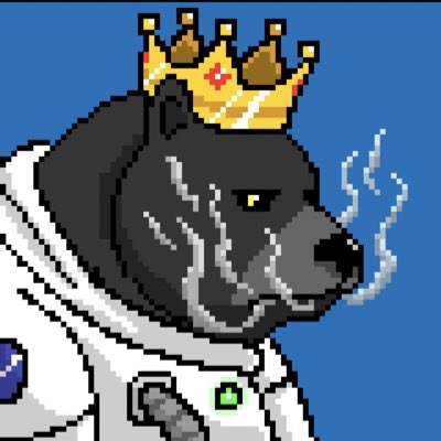 thek_king's tweet photo. #NouvellePhotoDeProfil https://t.co/0RuifpHI8e