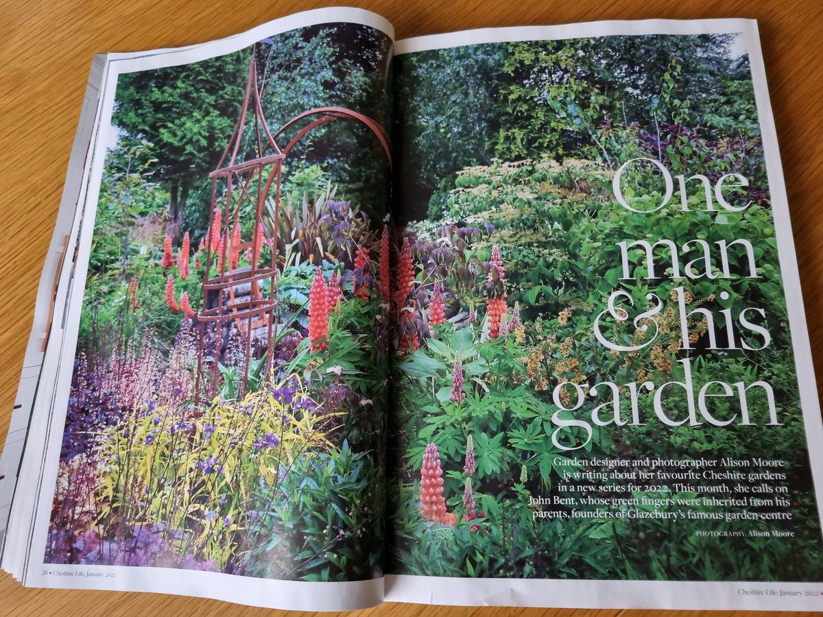 a1isonmoore's tweet photo. Thrilled to see my article and photos of John Bent's  #WeepingAsh garden in Glazebury in the January 2022 edition of @cheshirelife magazine. The first in a new series of my favourite Cheshire gardens! @VisitCheshire @CheshireWirrNGS @GdnMediaGuild #GardenersWorld https://t.co/KLEQAaf635