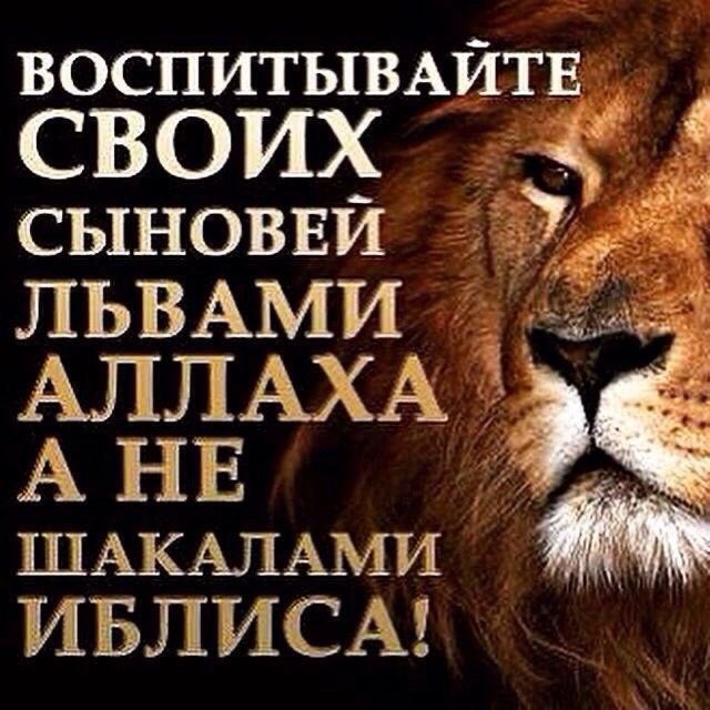 FHxQqqhXoAAbf0y?format=jpg&name=small