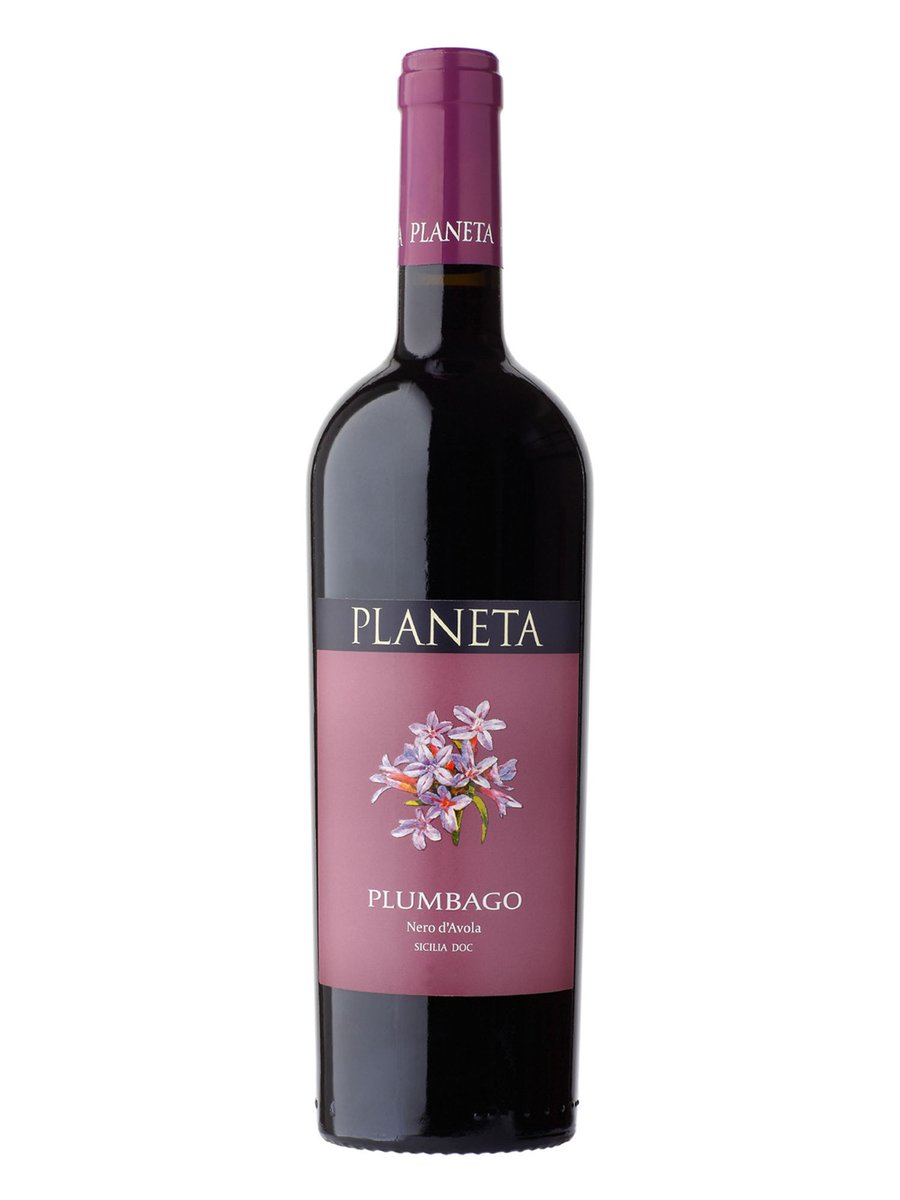 Il @DocViniSicilia #Plumbago 2019 @PlanetaWinery è un #NeroDAvola spiccatamente agrumato, addolcito di balsami delicati e succoso di melograno; largo e disteso in bocca, si diffonde sapido, fresco e croccante, winenews.it/it/planeta-doc…