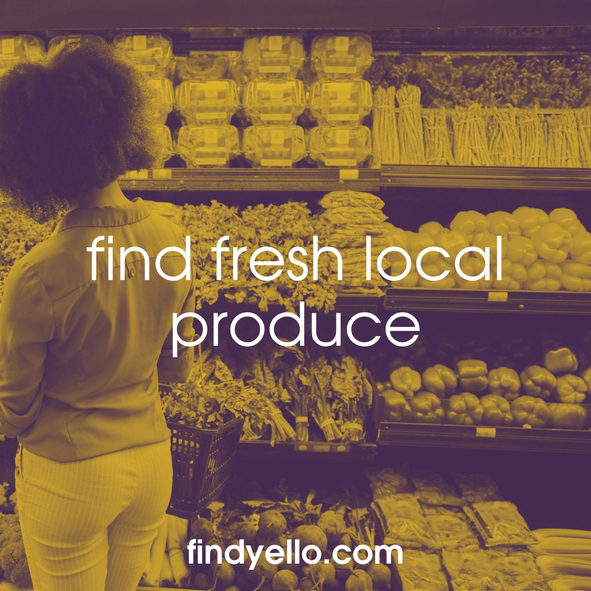 findyellonow's tweet photo. It's still the #holidays and you might need to restock some #fresh local produce. Visit https://t.co/GMXkw26IWG to find supermarkets, fruit vendors, and other organic sellers near you.
#WeKnowLocal #LocalFarmers https://t.co/LuMW2Zbhc7