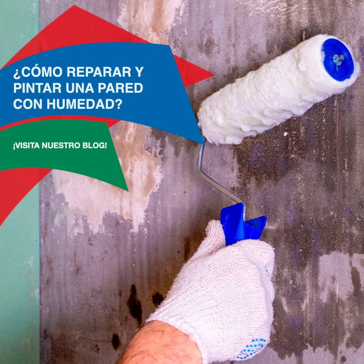 Rts_Spain's tweet photo. Te enseñamos a reparar y pintar una pared con humedades. ¡No te lo pierdas!
✅  https://t.co/bgZlm8OUCK
✅ ¿Hablamos? https://t.co/a1CLG6NypN
#Pintura #Humedades https://t.co/NMBzcqW2nA