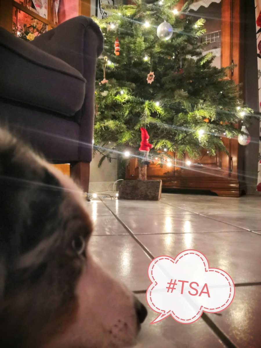 Tous sensibles à l’autisme. Participons au challenge #AXAAtoutCoeur pour soutenir les personnes atteintes d’autisme et leur famille. Une photo avec le mot TSA = 5€ reversés à l’association 
<a href="/SDJustes/">Le Silence des Justes</a>
 #TSA #lesilencedesjustes #autisme #tsaxa #tsa