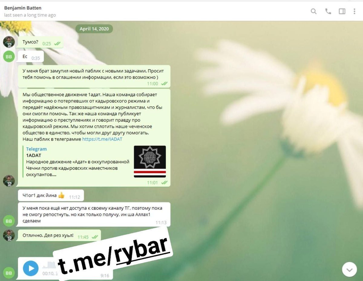 Z паблики в телеграмме