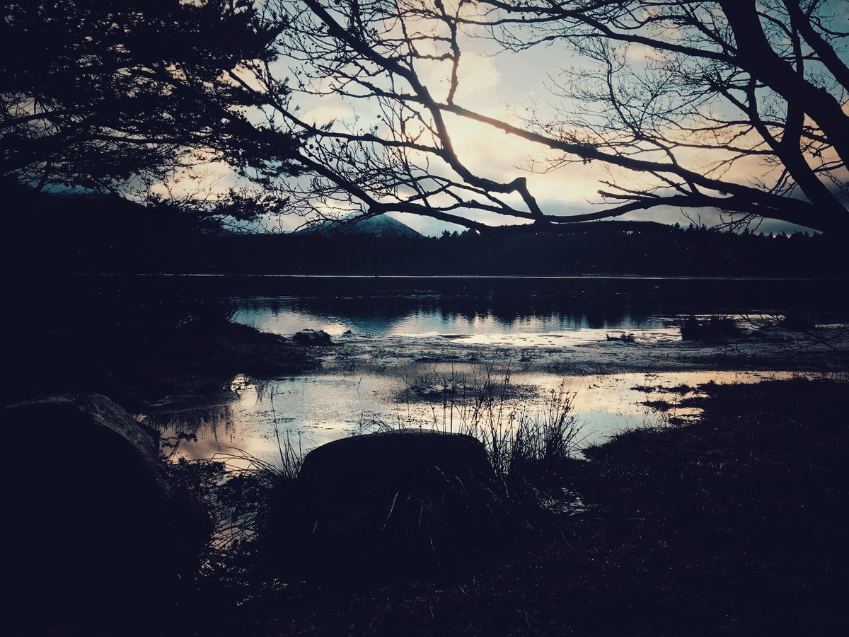 A Wintery Loch Morlich ❄️ 

#Highlands #Scotland #WinterLandscapes @visitnessie