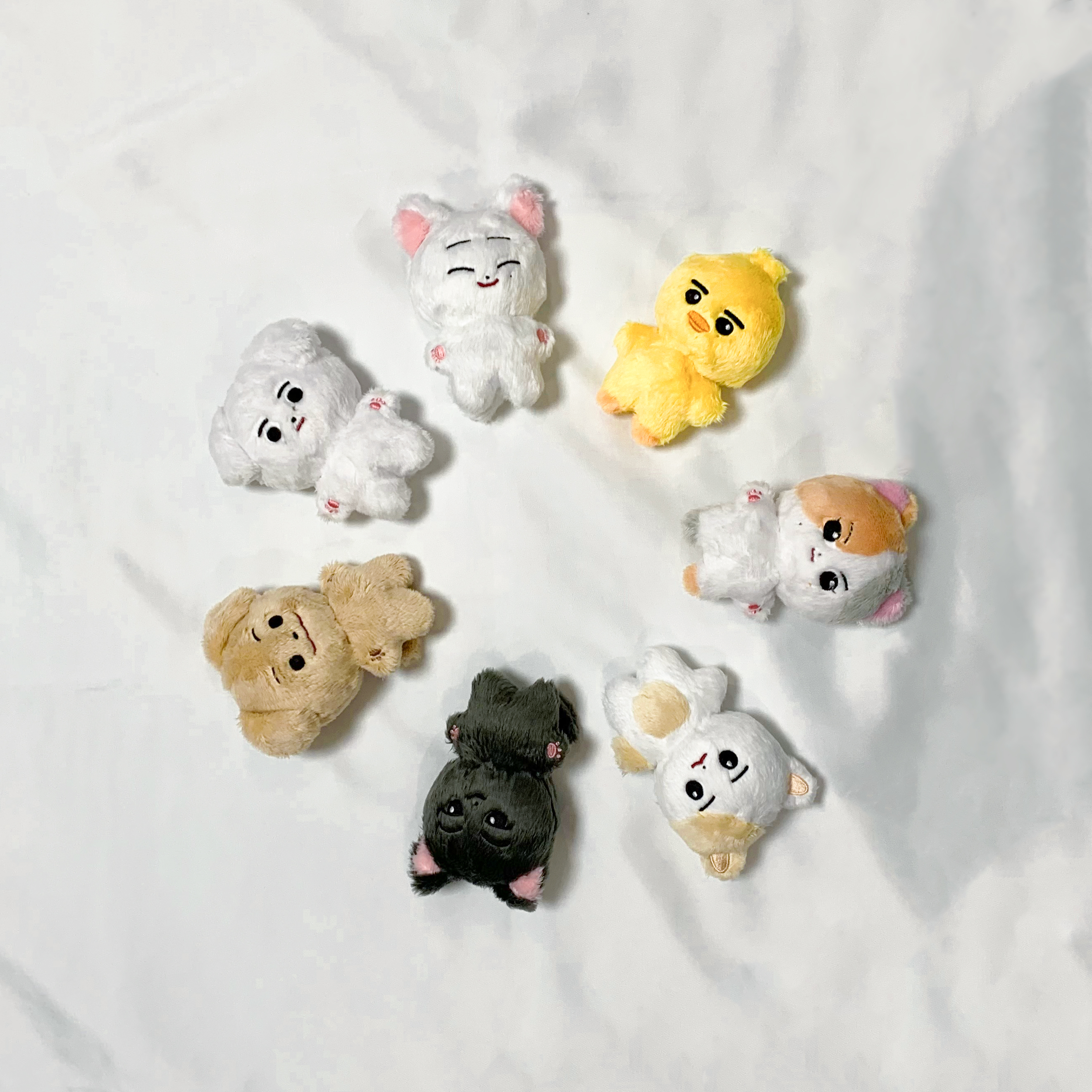Dreamforyou on X: Dreamforyou on X: