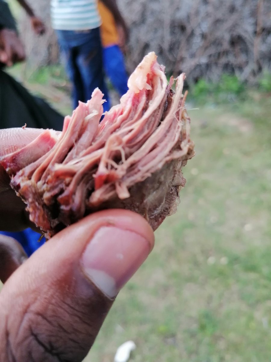 ChumaniJ's tweet photo. Grade A+ beef. Grass-fed, free range shandis. 👌🏽La qualité.

#organic #organicfarming #organicbeef #freerangebeef
#emcimbini https://t.co/AnjmkLohxE