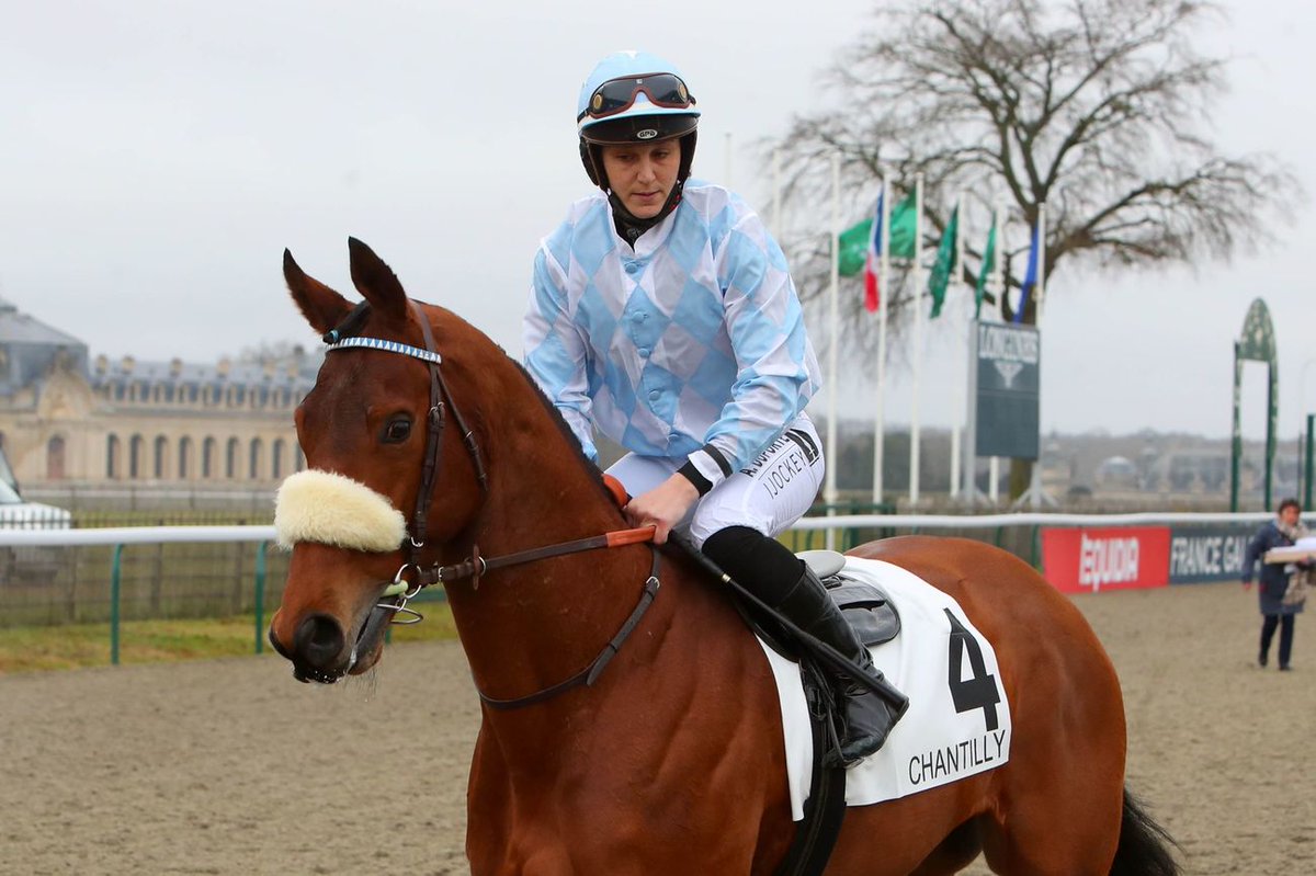 Paris_Turf's tweet photo. #Galop La der d'Alain de Royer Dupré 🔚
C'est aujourd'hui que l'entraîneur cantilien de 77 ans présentera son dernier partant, 𝘿𝙖𝙧𝙚𝙣𝙣𝙙𝙞, dans le Prix Tchac Côté d'l'eau à Pornichet-La Baule (R3-C3).
Une retraite bien méritée après plus de 50 ans de carrière. #MerciAlain https://t.co/Bo26eKMLRP