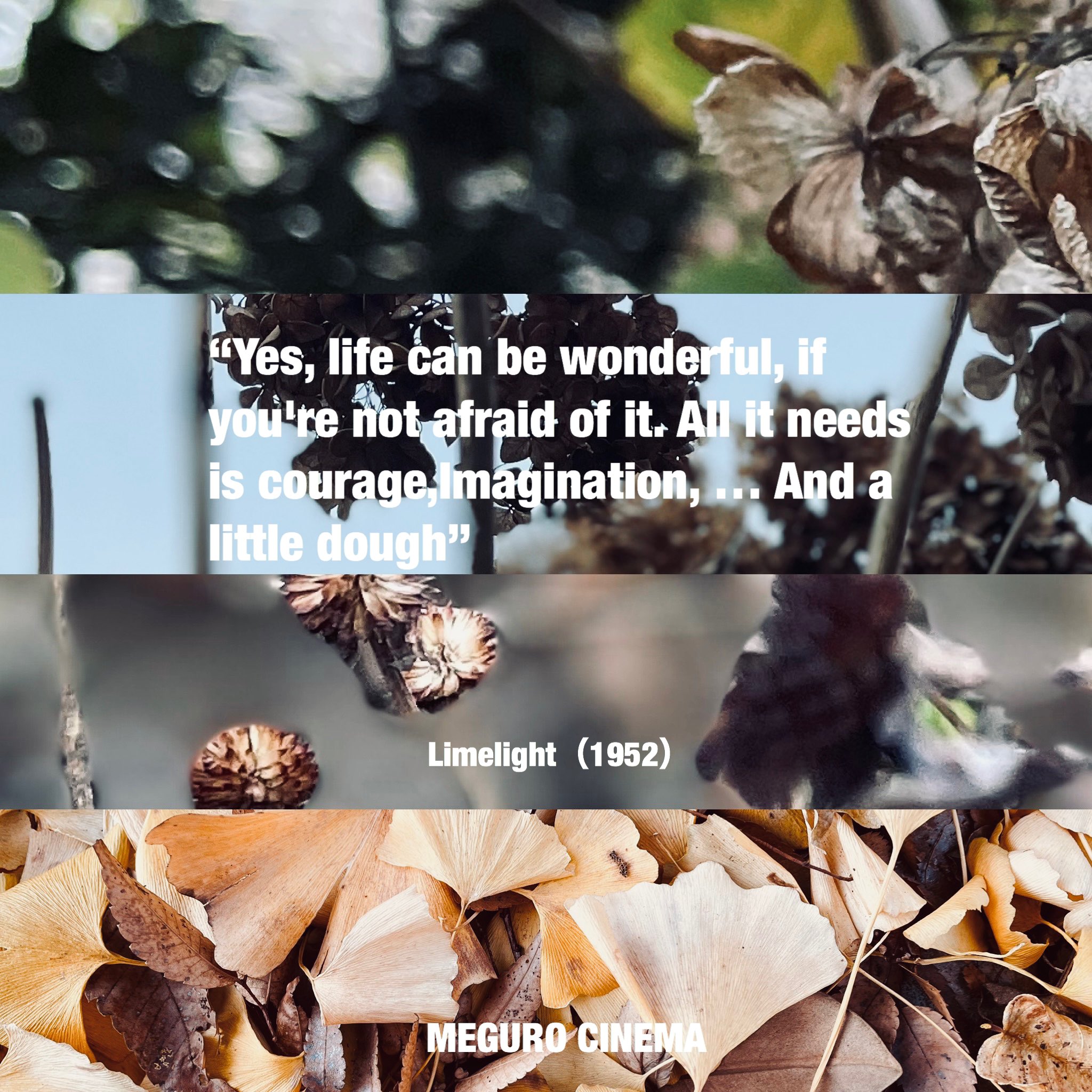 目黒シネマ 人生はすばらしい 怖れの気持ちさえ持たなければね 人生で必要なものは 勇気と 想像力 そして少しばかりのお金なんだよ ライムライト 1952年 チャールズチャップリン チャップリン 目黒シネマ 素敵なセリフ シネマ名言