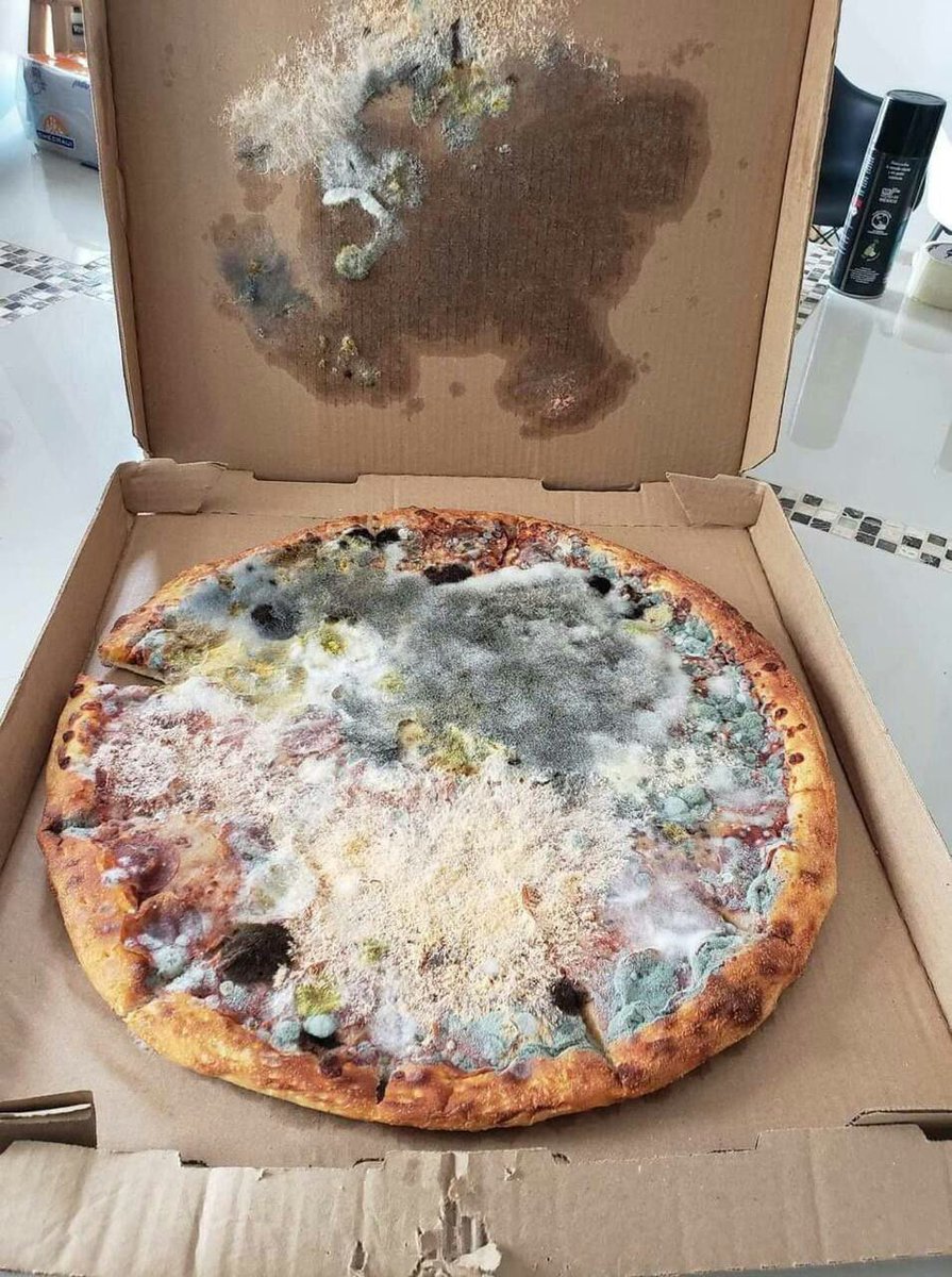 DisgustingCook's tweet photo. Грибная https://t.co/cxfwmNhF95