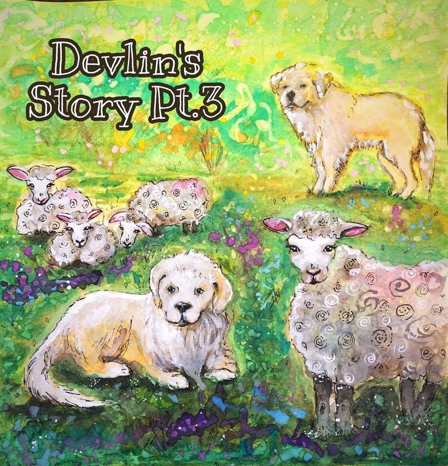 TopsyFarms's tweet photo. 3,100 #Topsy #childrensbooks are heading for #Canadian #classrooms!
What you've missed: the character #Devlin is based on a real-life #IrishSetter who is stolen from a backyard in the mid-1970's (she belonged to #Topsy's co-owner Sally).
In 2020...1/4 https://t.co/fdftTPdIOj