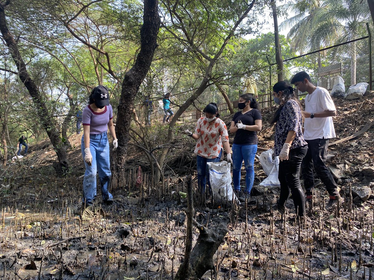 beachpleaseIND's tweet photo. WEEK 205: #BeatPlasticPollution 

#MithiRiverCleanUp &amp; #AiroliMangrovesCleanUp
Problems of environmental degradation &amp; climate change are not threats to the Earth at large. They are challenges to human survival @sanyamalhotra07 

@AUThackeray @ErikSolheim @NeenuSomaraj @vrtiwari1 https://t.co/1CcrY1POyT