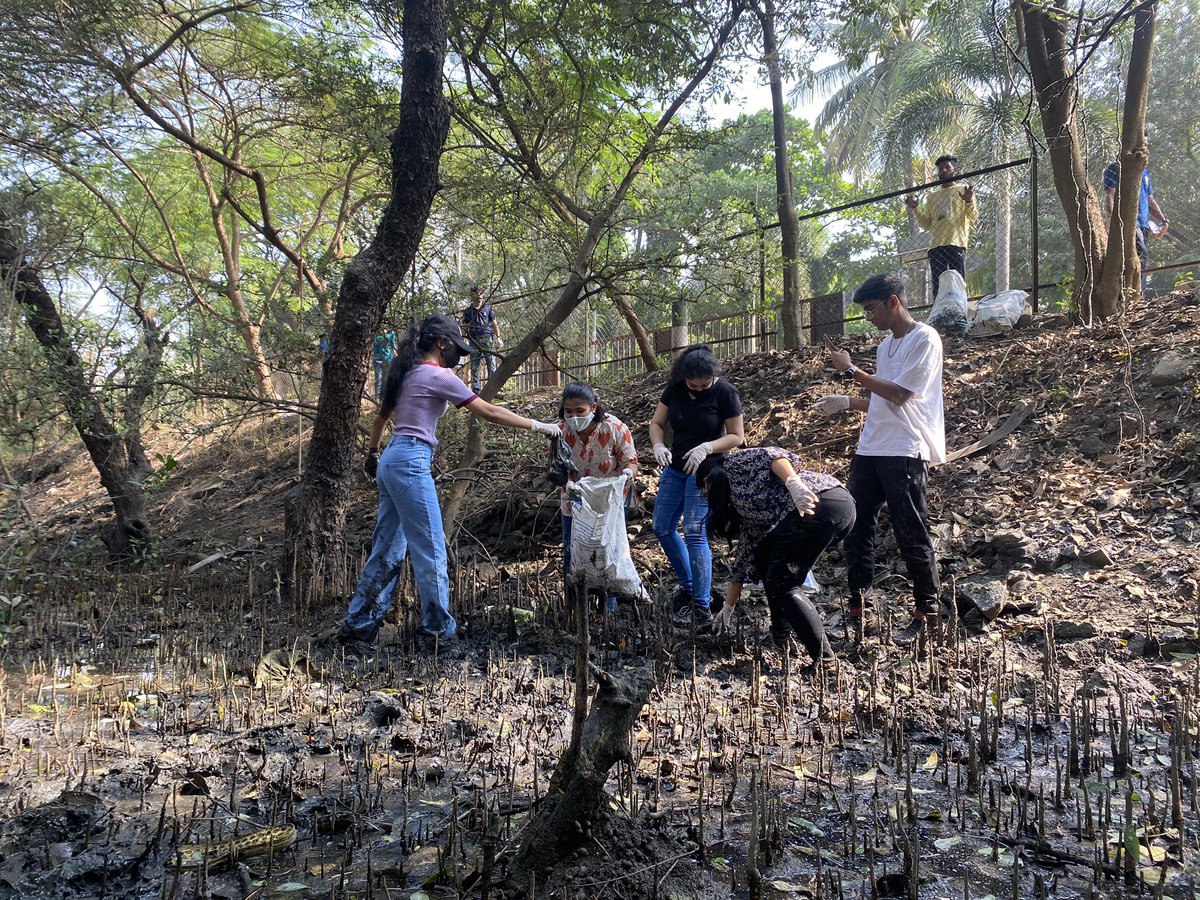 beachpleaseIND's tweet photo. WEEK 205: #BeatPlasticPollution 

#MithiRiverCleanUp &amp; #AiroliMangrovesCleanUp
Problems of environmental degradation &amp; climate change are not threats to the Earth at large. They are challenges to human survival @sanyamalhotra07 

@AUThackeray @ErikSolheim @NeenuSomaraj @vrtiwari1 https://t.co/1CcrY1POyT