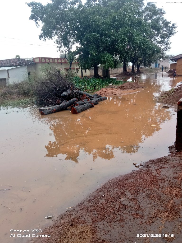 पाटन (छ. ग).विधान सभा के झीट गांव में बारिश होते ही पूरा मोहल्ला भर जाता है फिर भी यहां विकास देखने नहीं मिल रहा पंच सरपंच देखने नहीं आते घंटो बाद पानी निकलताहै सभी घर छोटे छोटे बच्चे है जिनके डूबने का खतरा बना रहता है <a href="/bhupeshbaghel/">Bhupesh Baghel</a>  <a href="/ChhattisgarhCMO/">CMO Chhattisgarh</a>