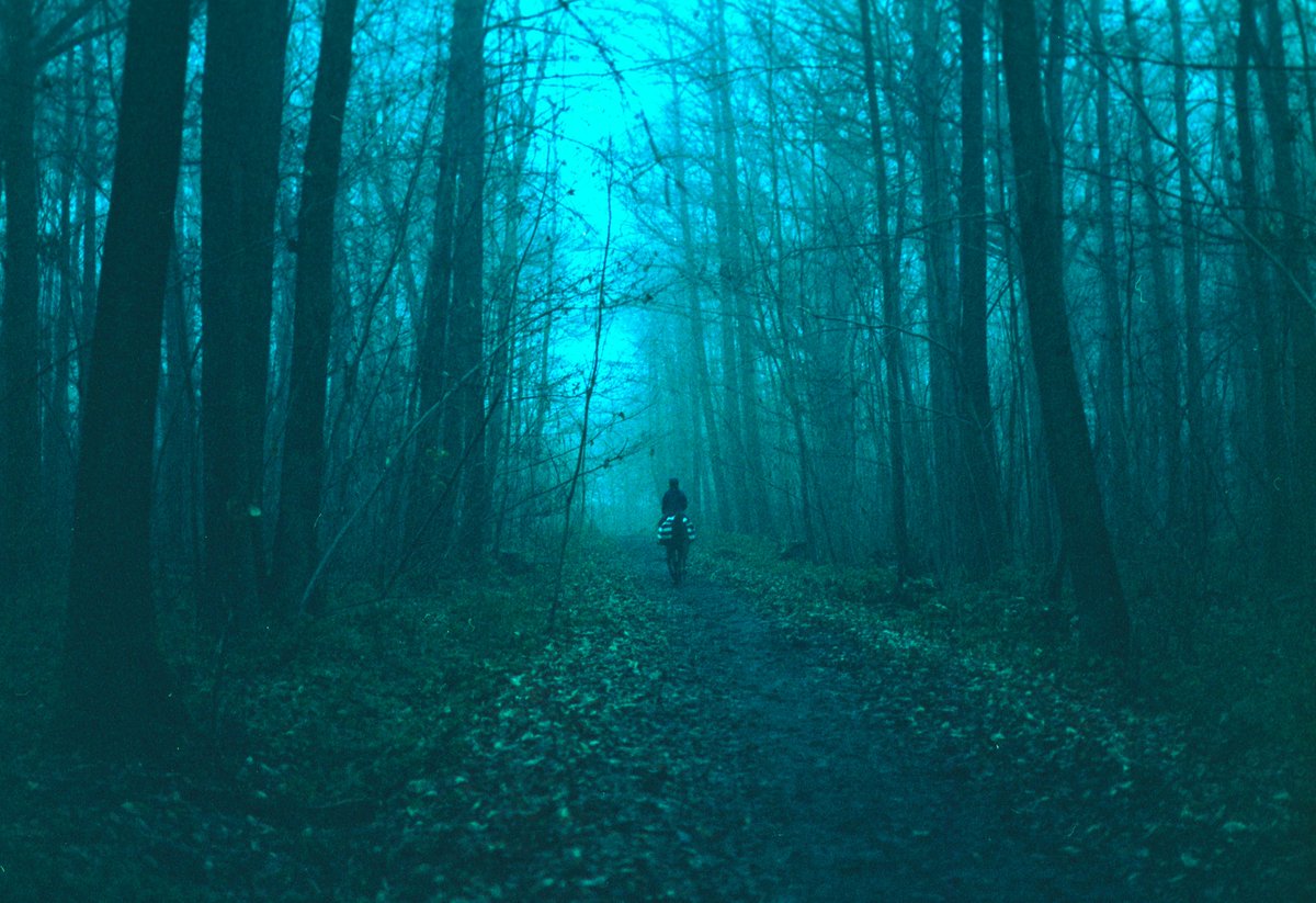 120films's tweet photo. french countryside on film, but they burn people https://t.co/JCXYBgqghY