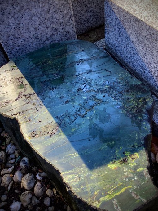 今日はお墓にある全石をビッカビカに磨いてきました。あまりにもキレイになったので写真を撮ろうとしたら、結構な勢いで出た顔認証が墓石周辺をワラワラと移動していたので、この一年無事に過ごせた感謝を込めて手を合わせました。南無〜 