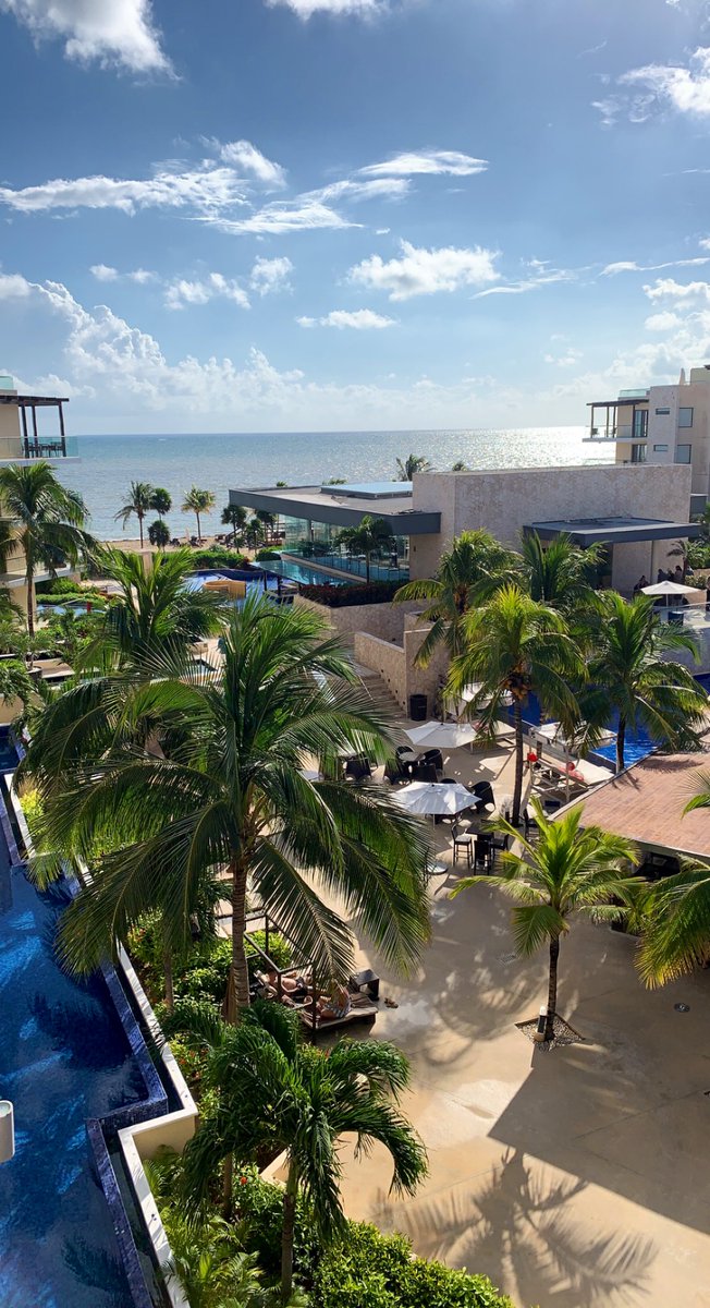JennnaSnyder's tweet photo. Missing this. ☀️🌴 https://t.co/t7UwveOvWo