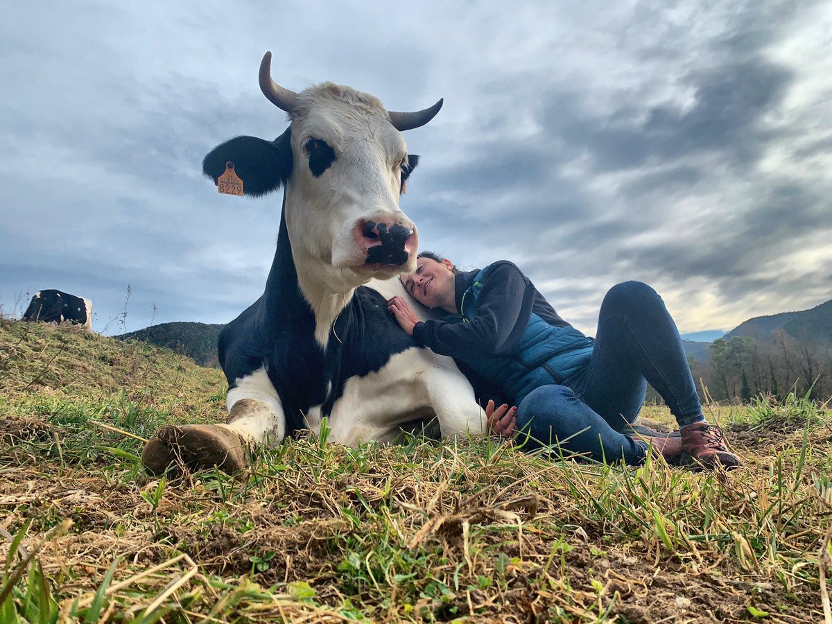 Els veterinaris de camp ho som per passió.
I si menjo carn, i si les cuido, i si les estimo.. entenc que us costi de creure però el pensament i la realitat és diferent en cadascú i cap és millor o més vertadera que l’altra. No humanitzar els animals no ens fa menys persones!