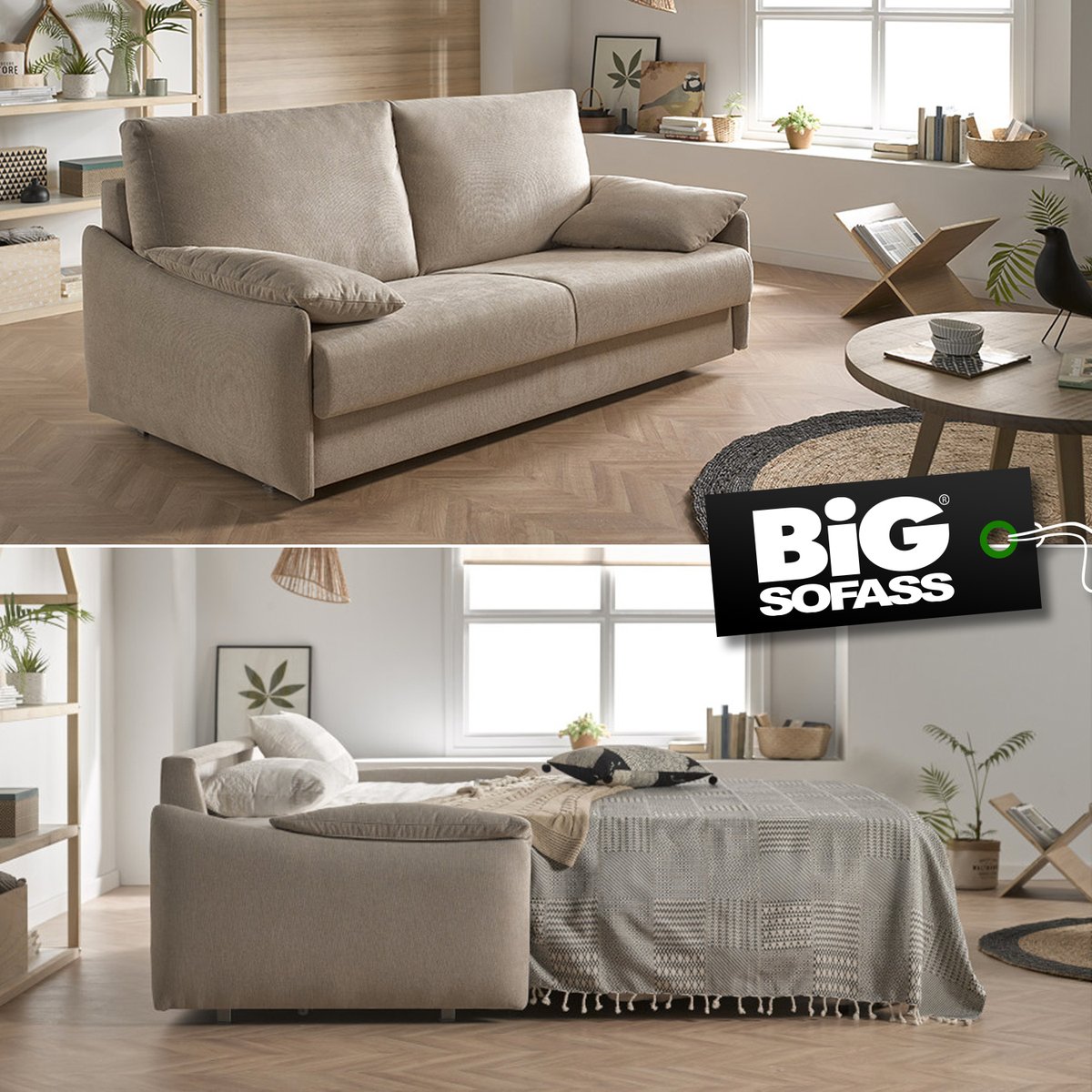 BiGSOFASSMalaga's tweet photo. https://t.co/9I35N88QbR https://t.co/jt9erQFaUf