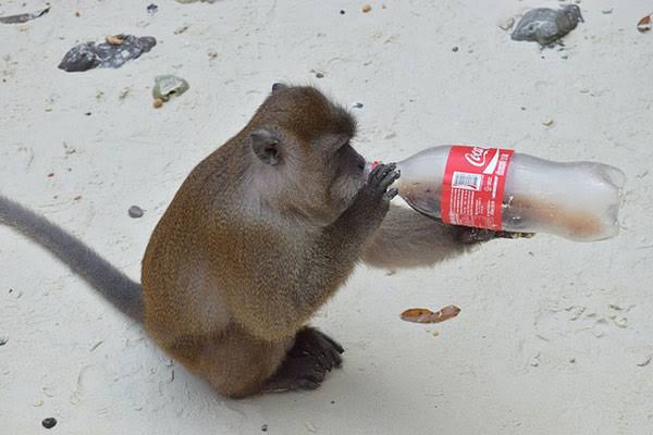 silvazuao's tweet photo. product placement jr <3 https://t.co/wxcsFdBCFO