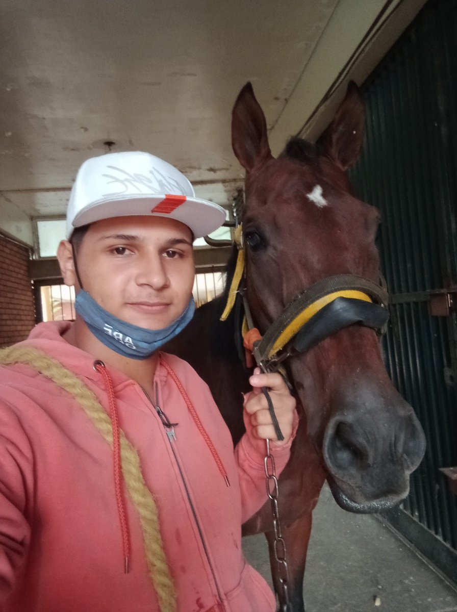 Asdruba65005871's tweet photo. #Valrazio Mi guerrero ya estás más animado, echando mordiscos apenas nos descuidamos🤣 #Hipismo https://t.co/gSUJ9mHMT4
